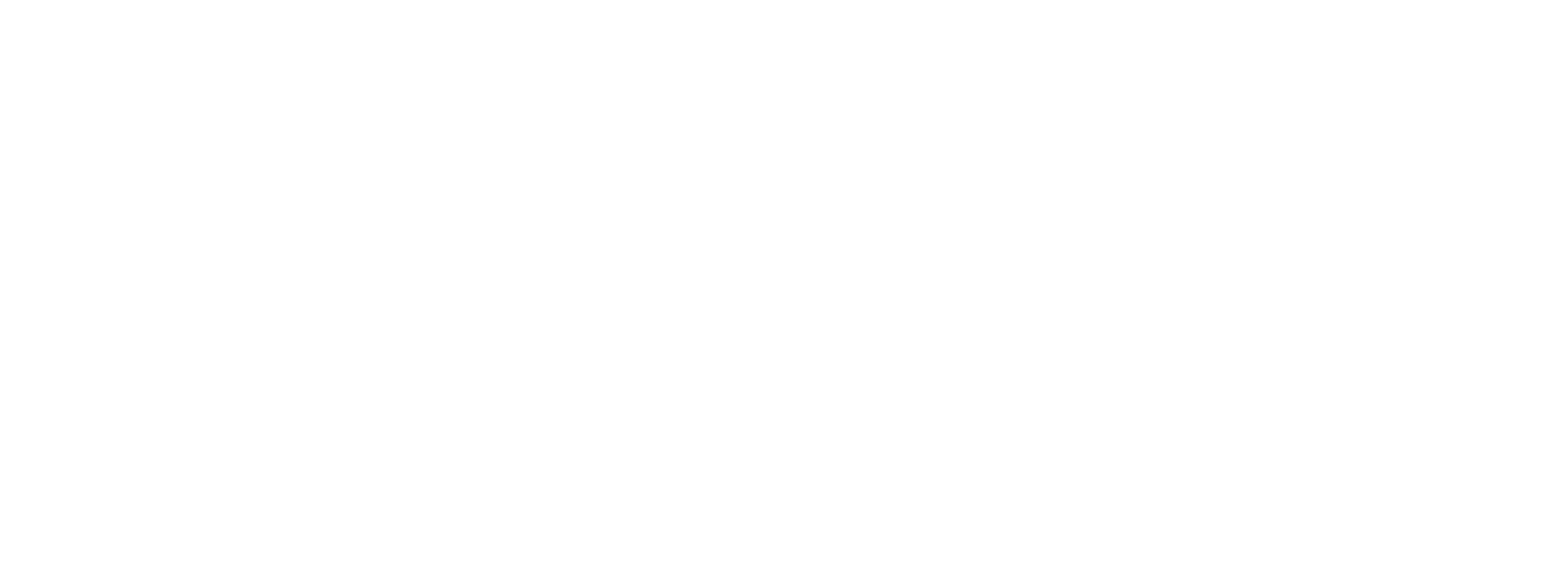 Kaizen logo in white